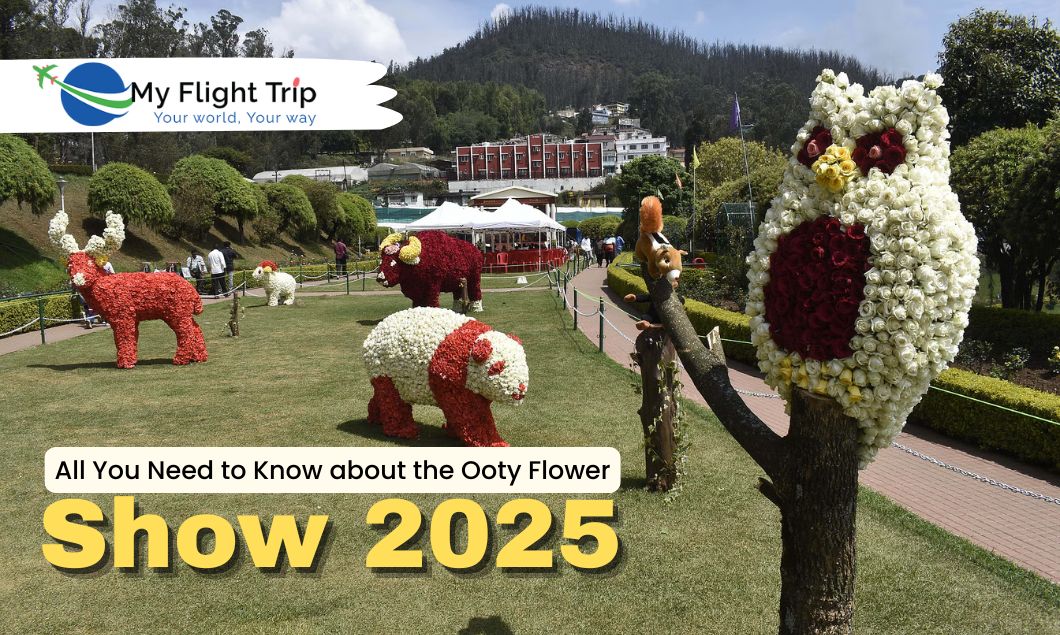 All You Need to Know about the Ooty Flower Show 2025 All You Need to Know about the Ooty Flower Show 2025