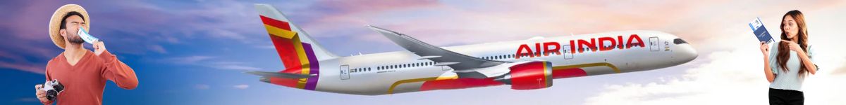 Air India Airline Boarding Pass
