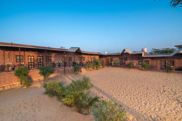 Desert Camp