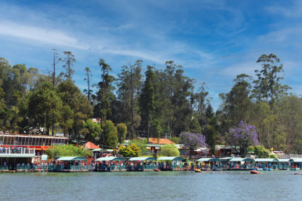 Ooty