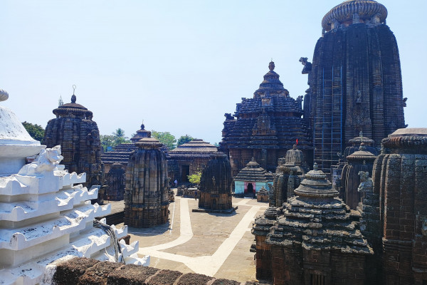 Puri, Bhubaneswar & Gopalpur Tour for 6 Days Covering Jain Caves, Jagannath Temple, Konark, Chilika Lake & More