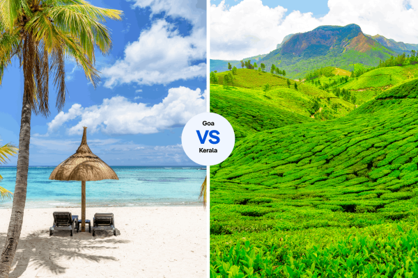 Kerala and North Goa Tour for 8 Days with Backwaters, Churches & Wildlife Adventures