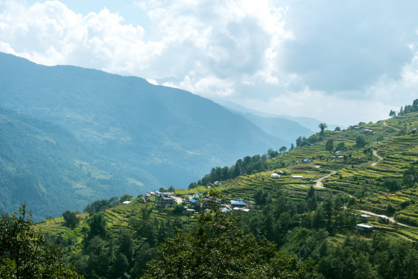6 Days of Exciting Excursions in Bangalore, Mysore, and Ooty