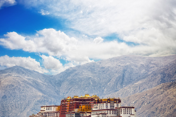 Leh-Ladakh Tour with 5 Days of Pangong Lake Trip, Khardung La Pass Visit & More