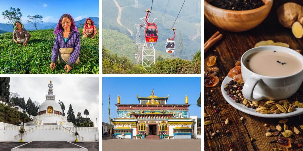 Darjeeling - Tea Gardens and Beyond
