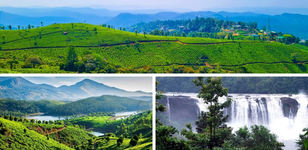 Munnar, Kerala