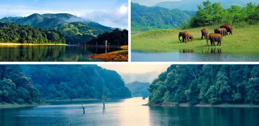 Thekkady, Kerala