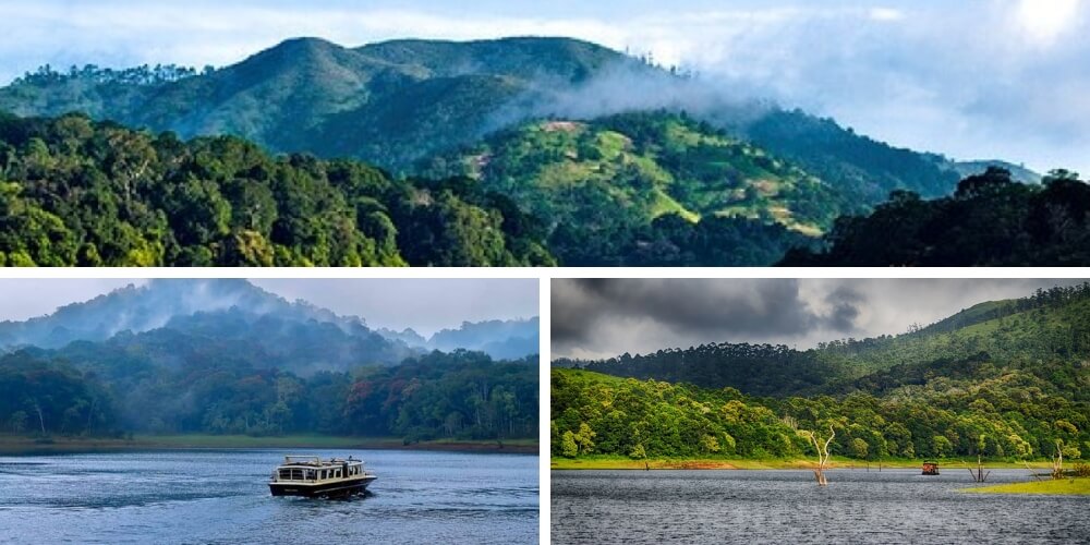 Thekkady, Kerala